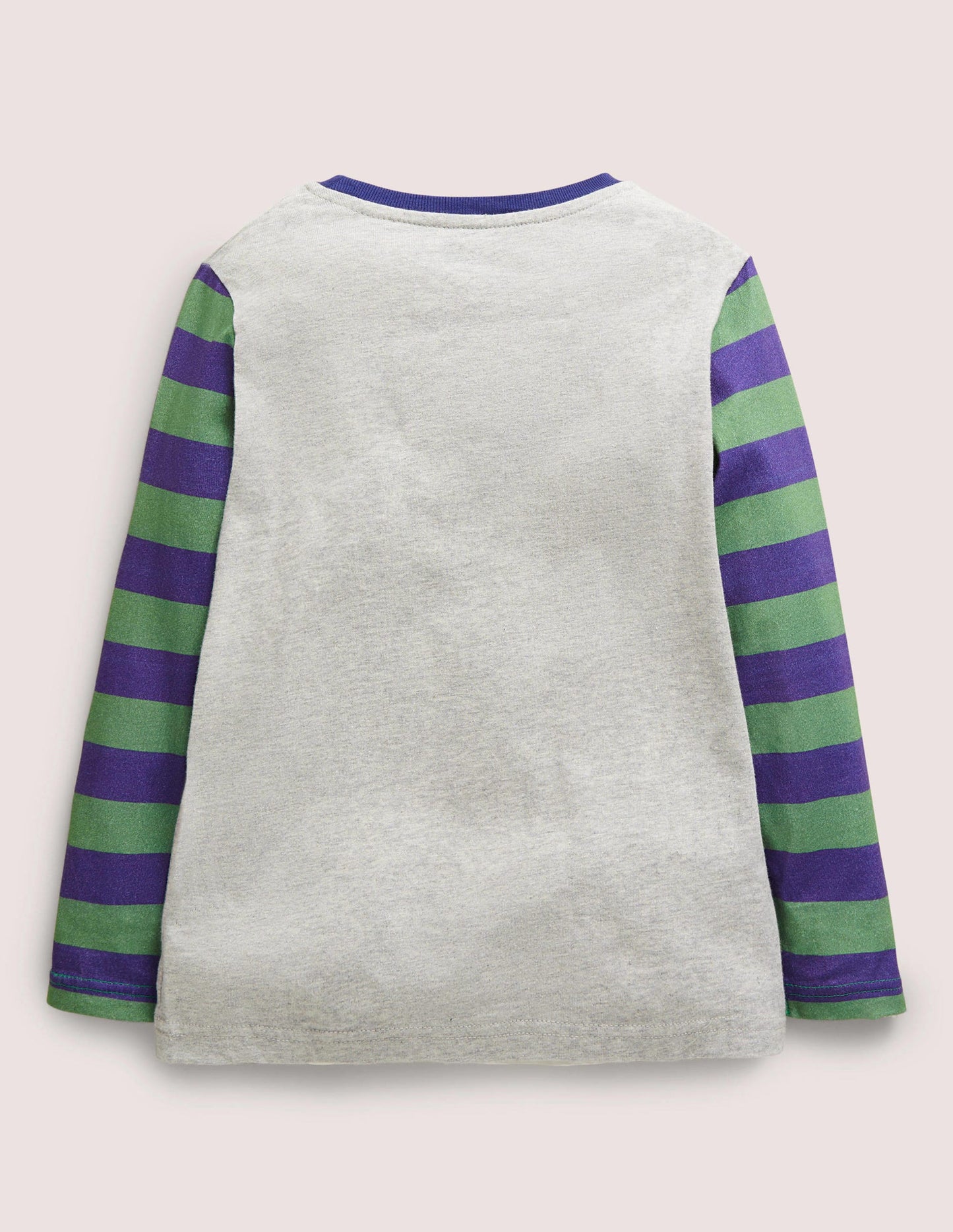 Appliqué Hotchpotch T-shirt-Grey Marl Boarding Guinea Pig