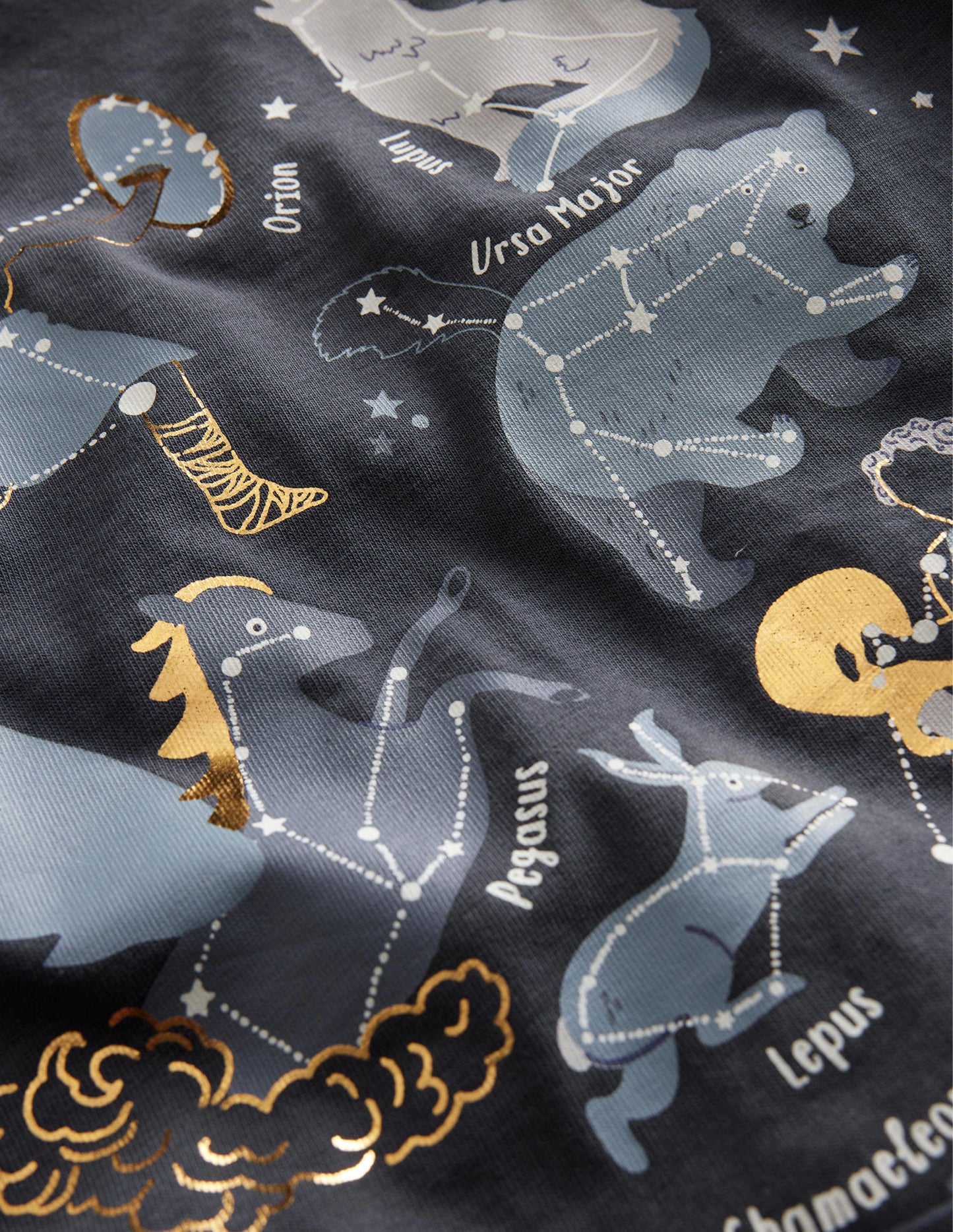 Astrology Printed T-shirt-Charcoal Astrology