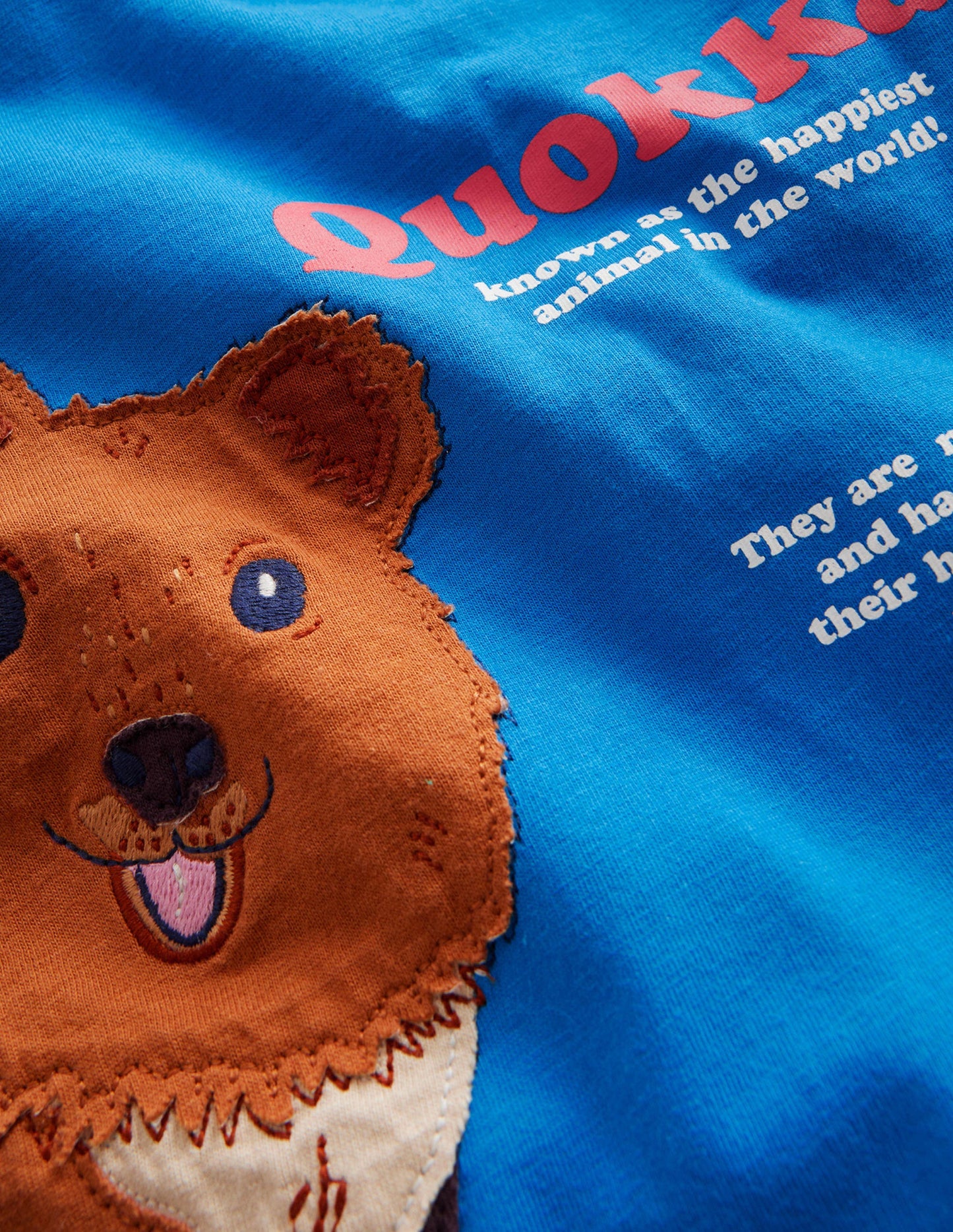 Quokka Educational T-shirt-Egyptian Blue Quokka