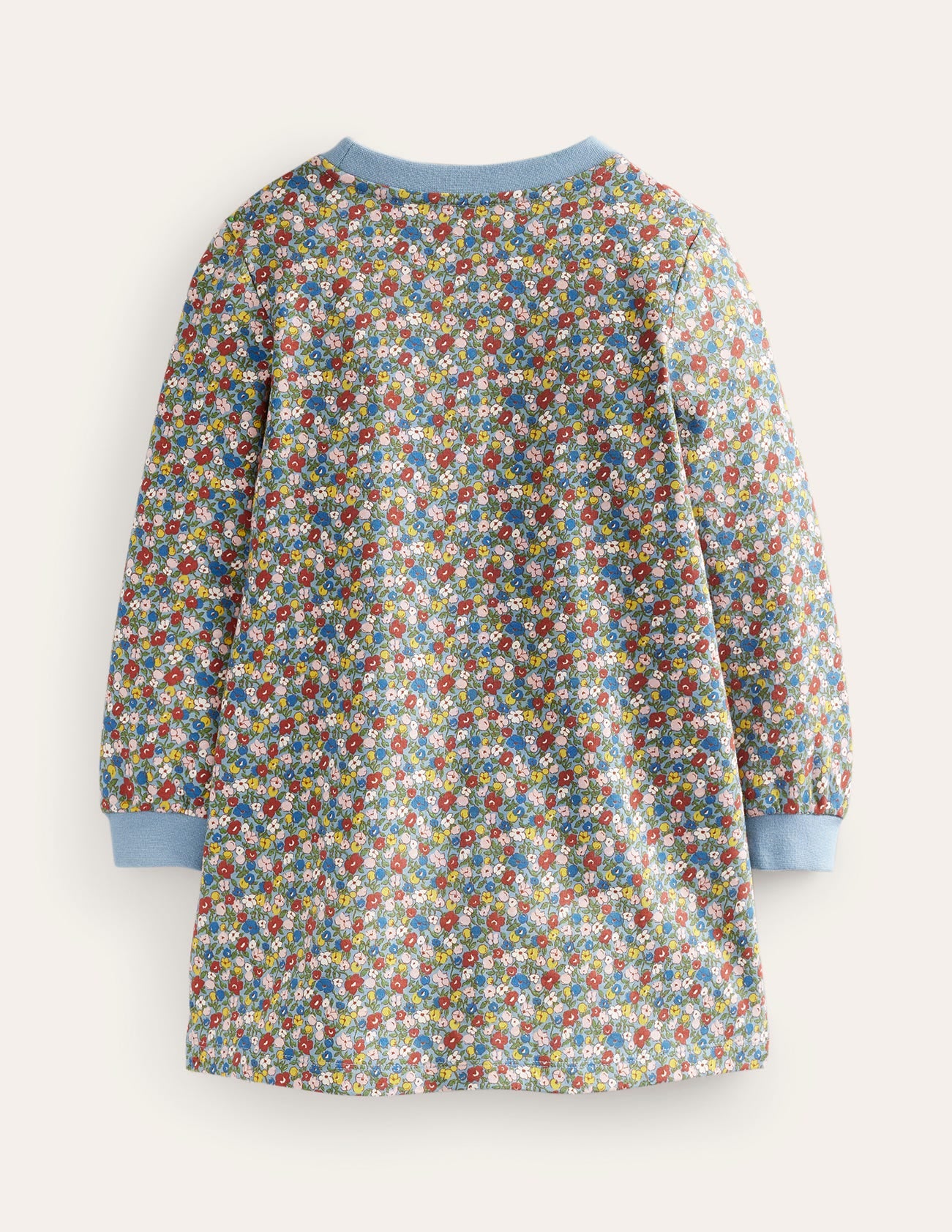 Appliqué Sweatshirt Dress-Pebble Blue Flower Dog
