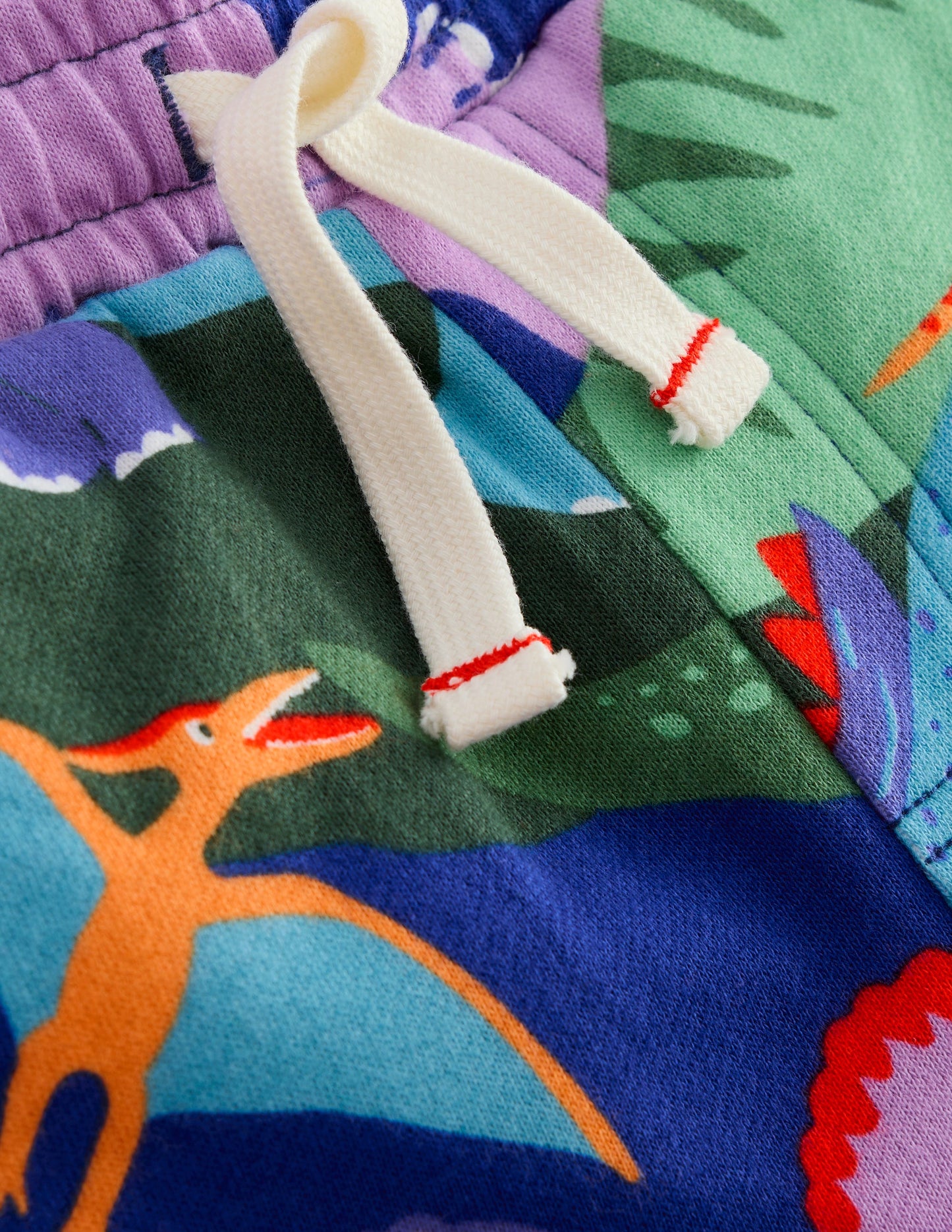 Printed Shorts-Multi Dinosaur Camo