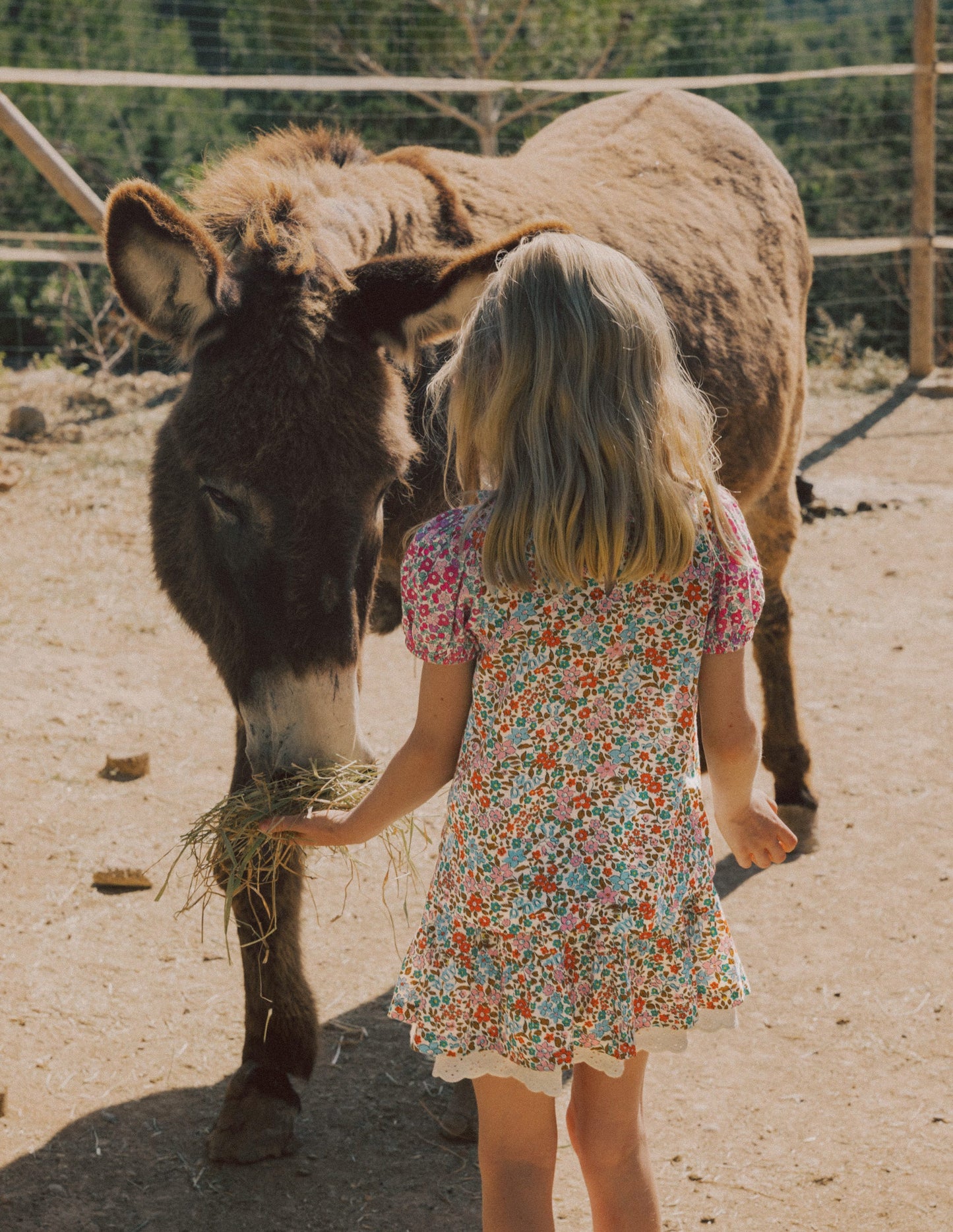 Smocked Frill Neck Blouse-Hotchpotch Floral
