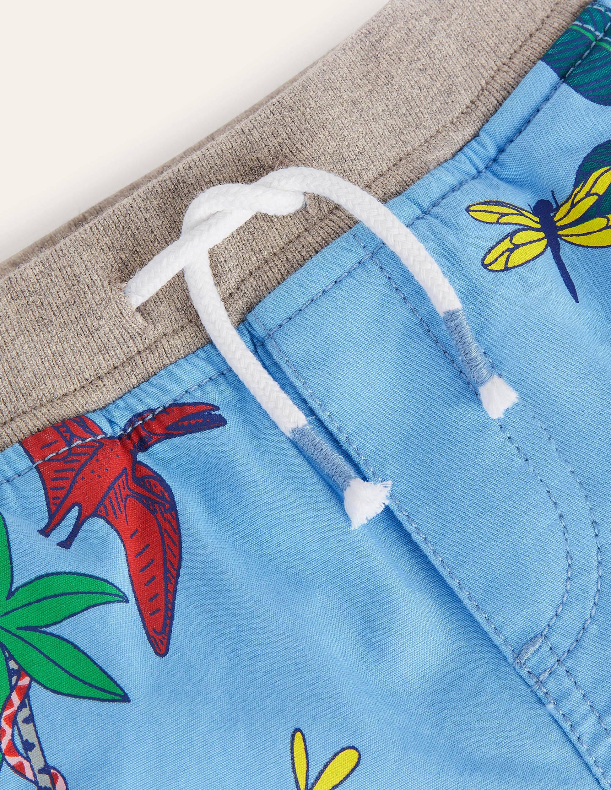 Holiday Shorts-Surfboard Blue Dino Island-3