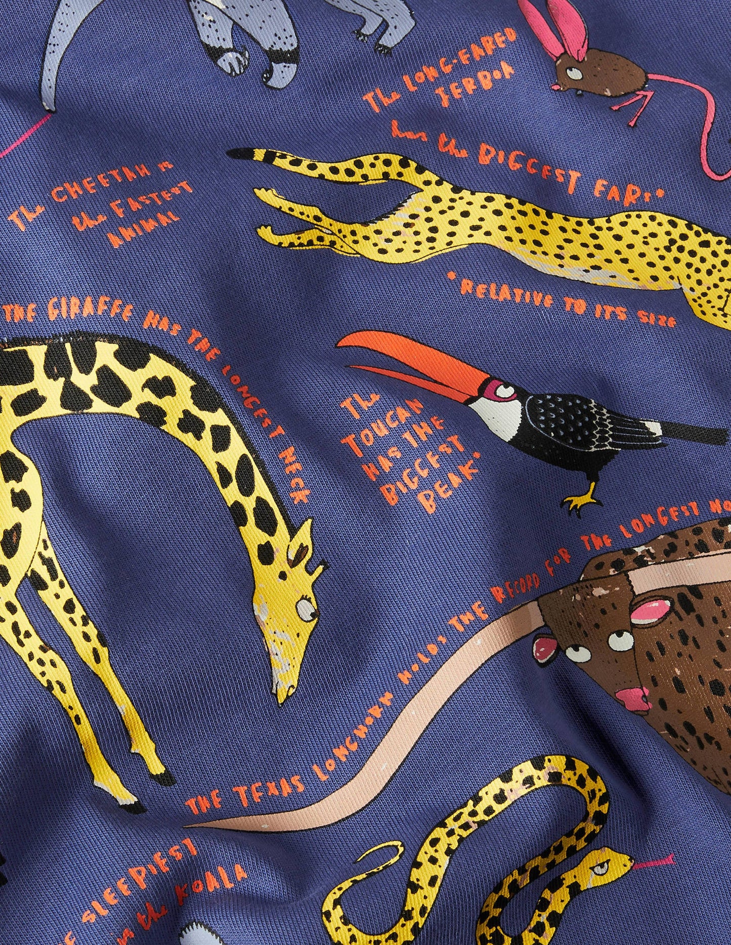 Educational Graphic T-shirt-Starboard Blue Crazy Animals