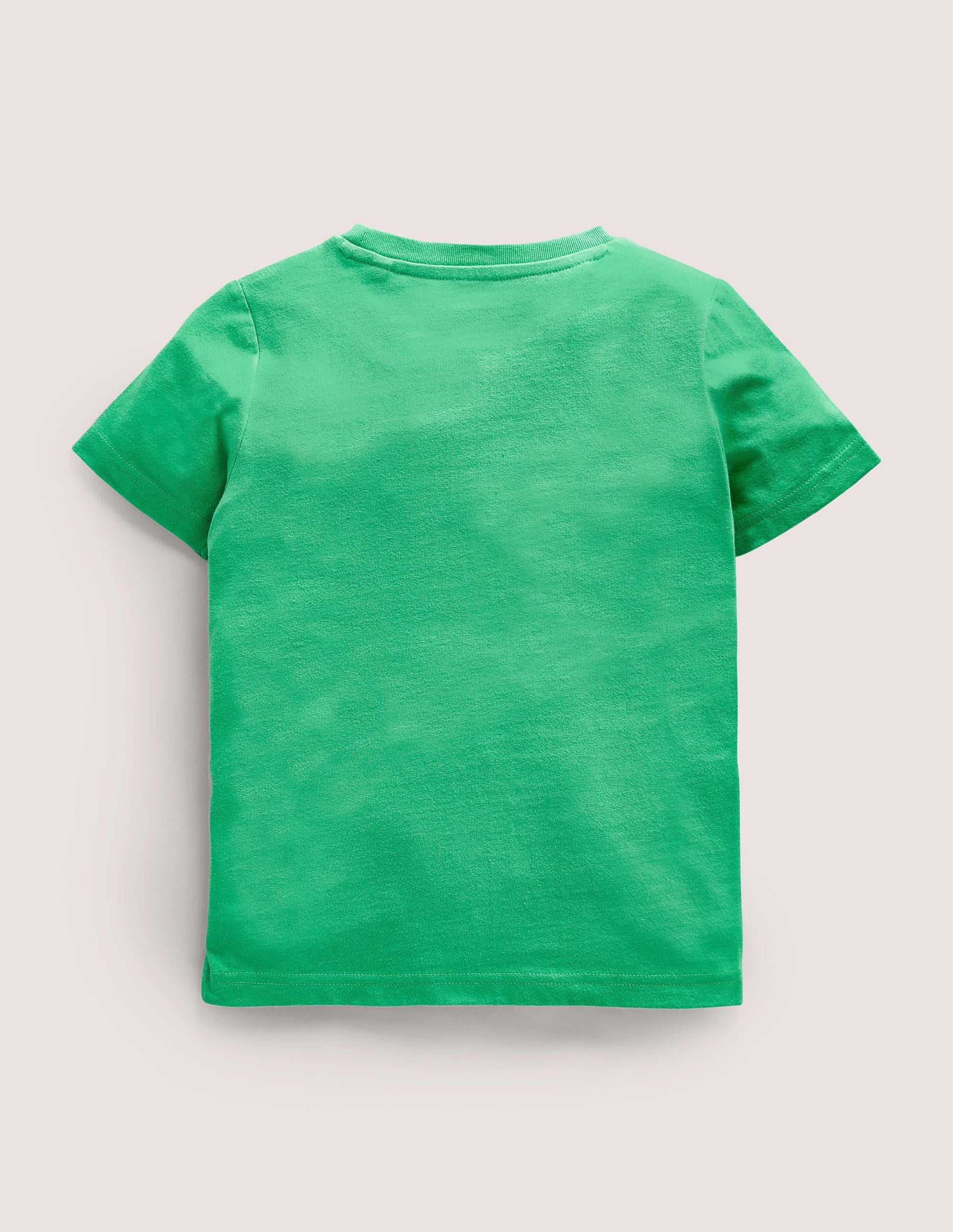 Birthday Appliqué T-shirt-Aloe Green Bunnies Four-2