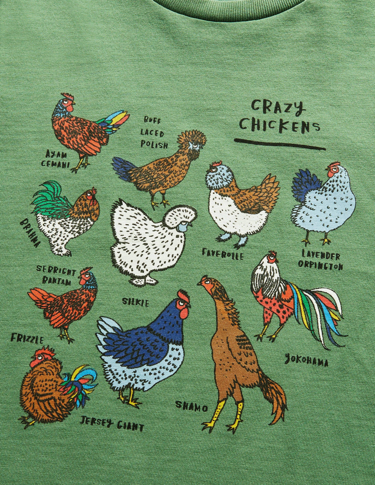 Graphic Grid T-shirt-Rosemary Green Chickens - Image 3