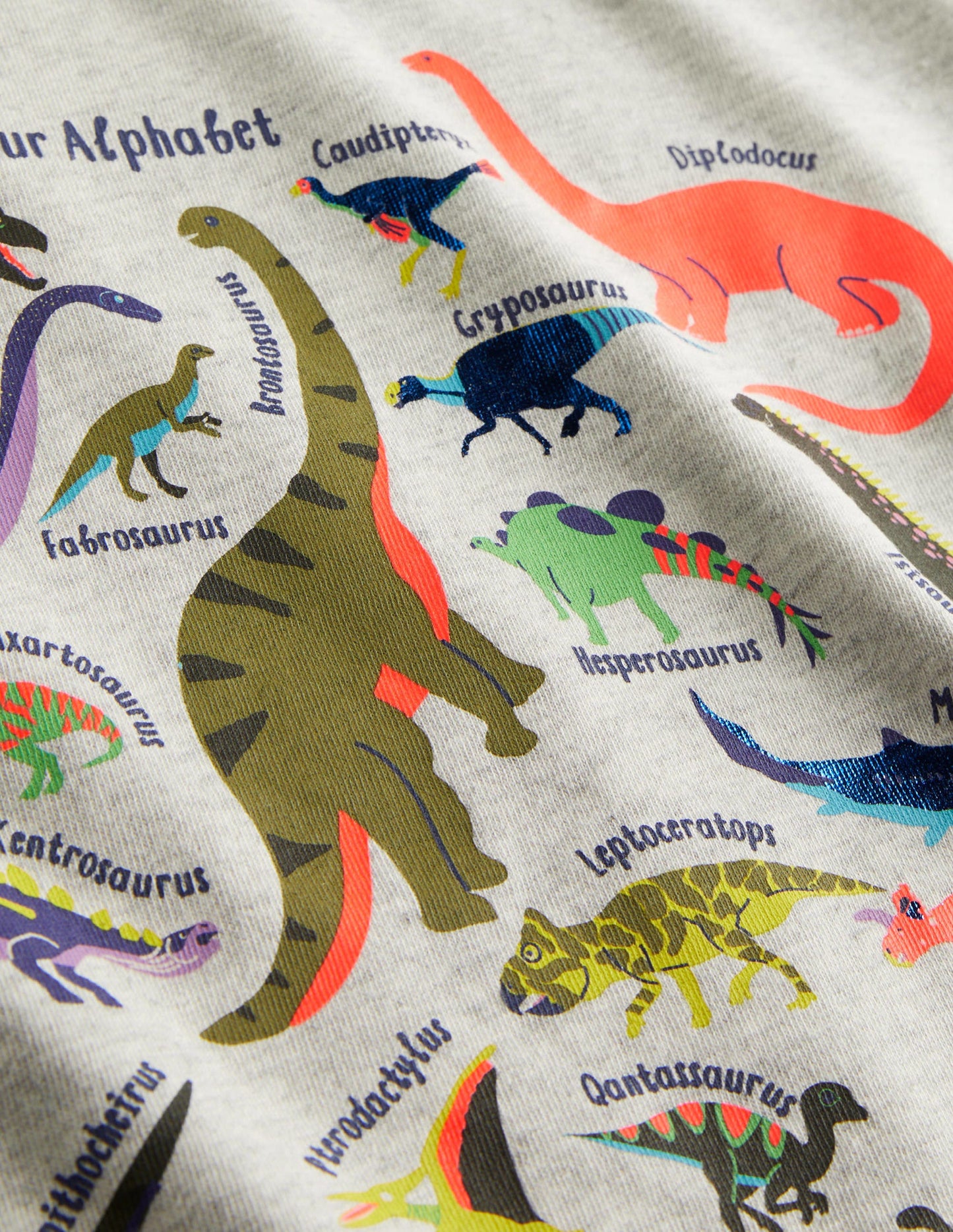 Long Sleeved Graphic T-shirt-Silver Marl Dinos