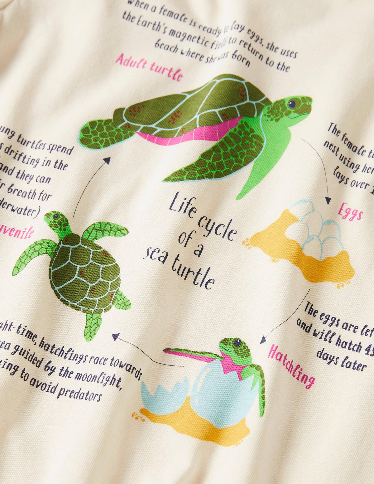 Fun Fact T-shirt-Ivory Turtles - Image 3