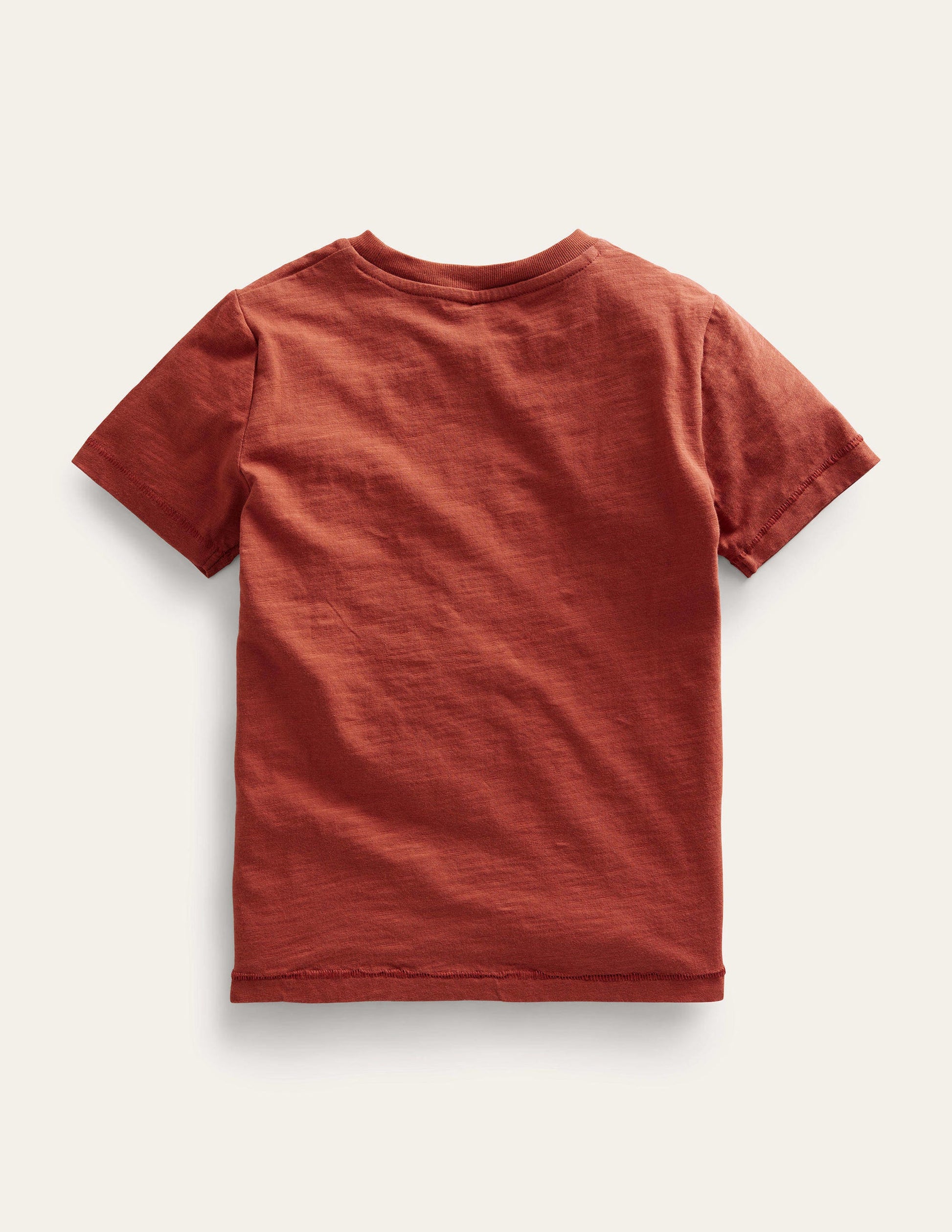 Washed Slub T-shirt-Roasted Chesnut-2