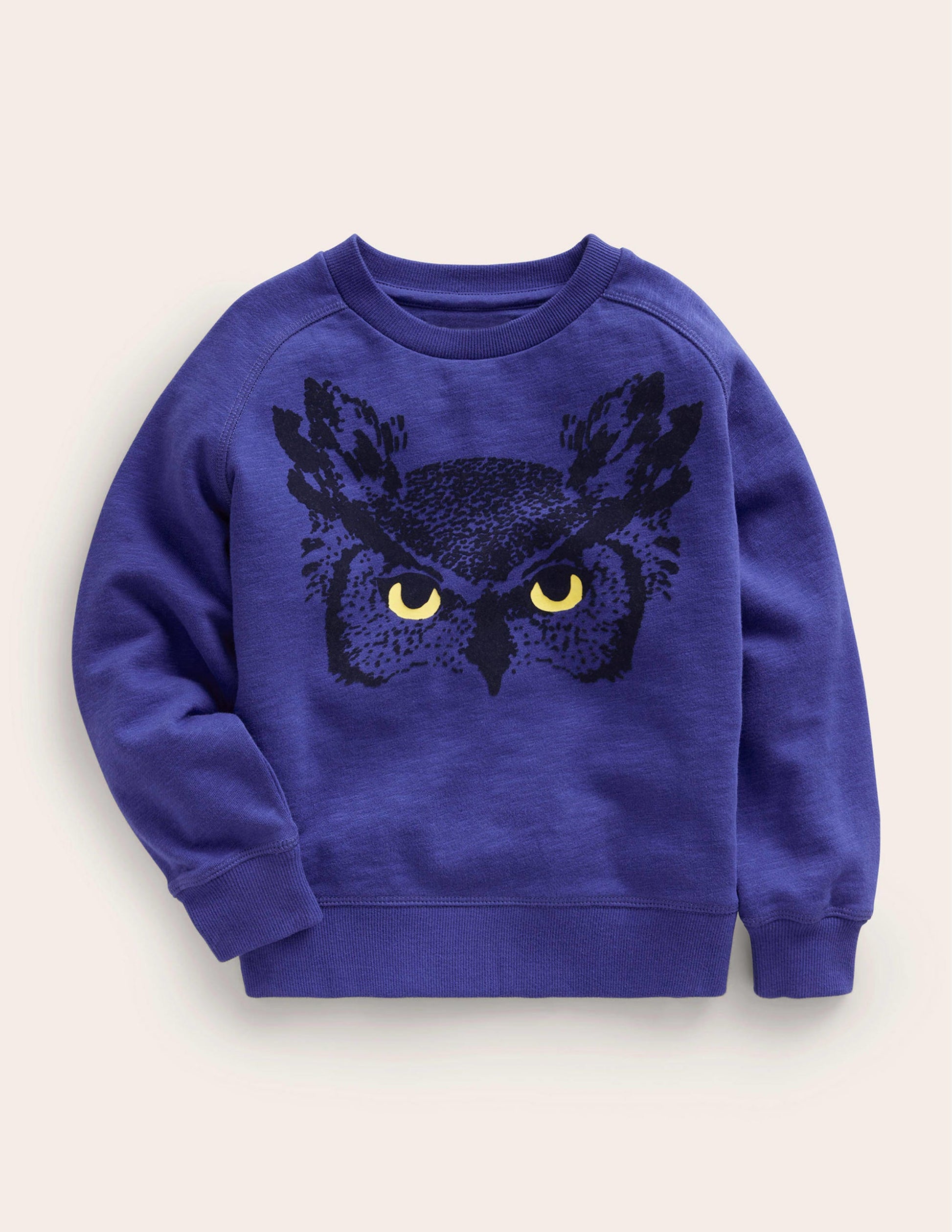 Owl Sweatshirt-Bluing-1