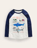 Raglan Fact File T-shirt-Ivory/Navy Sharks