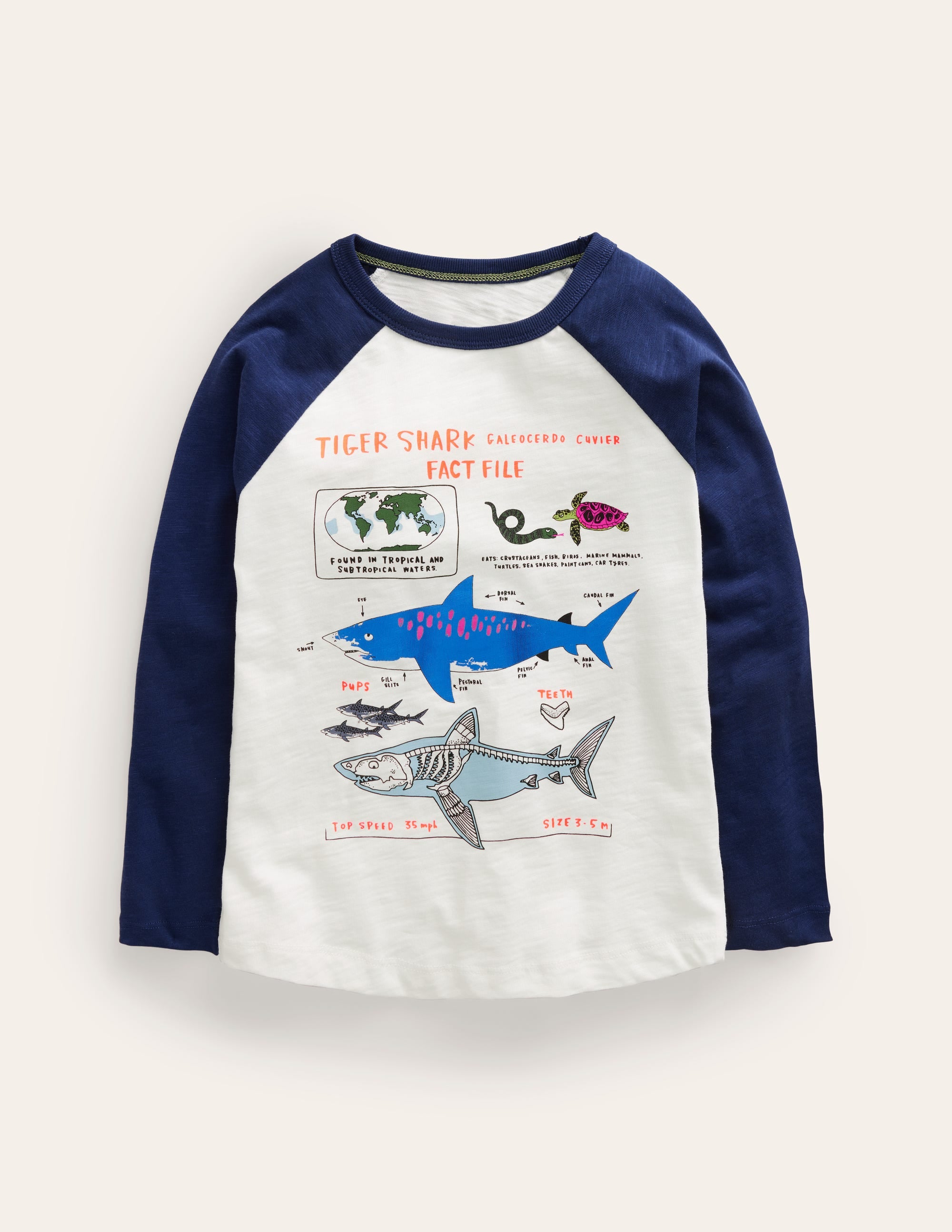 Raglan Fact File T-shirt-Ivory/Navy Sharks - Image 1