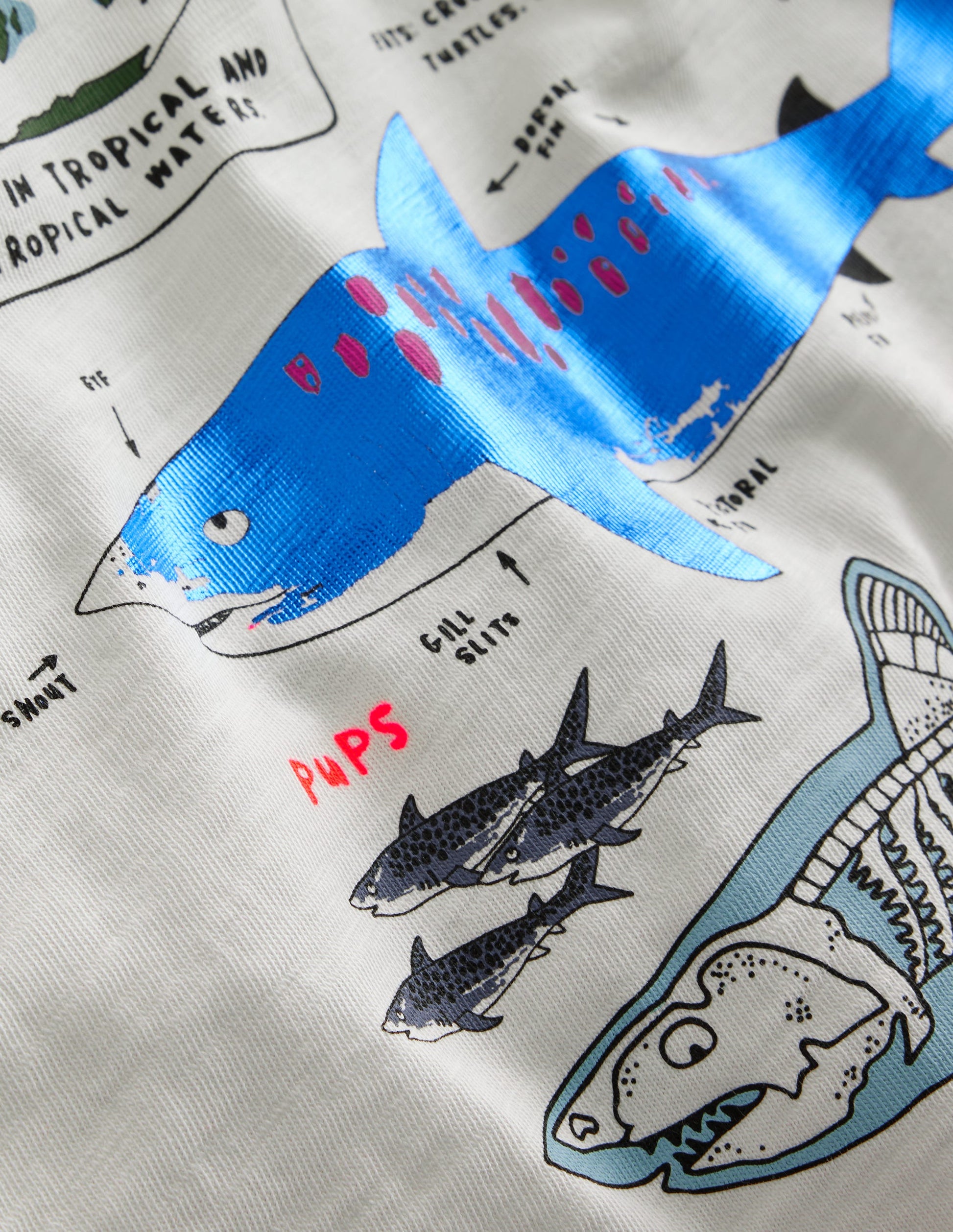 Raglan Fact File T-shirt-Ivory/Navy Sharks-3