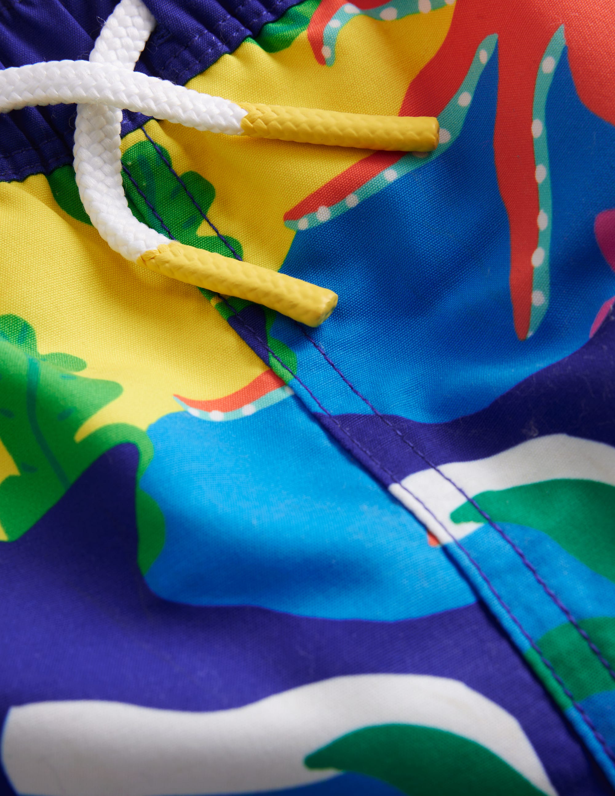 Swim Shorts-Multi Rainbow Reef - Image 3
