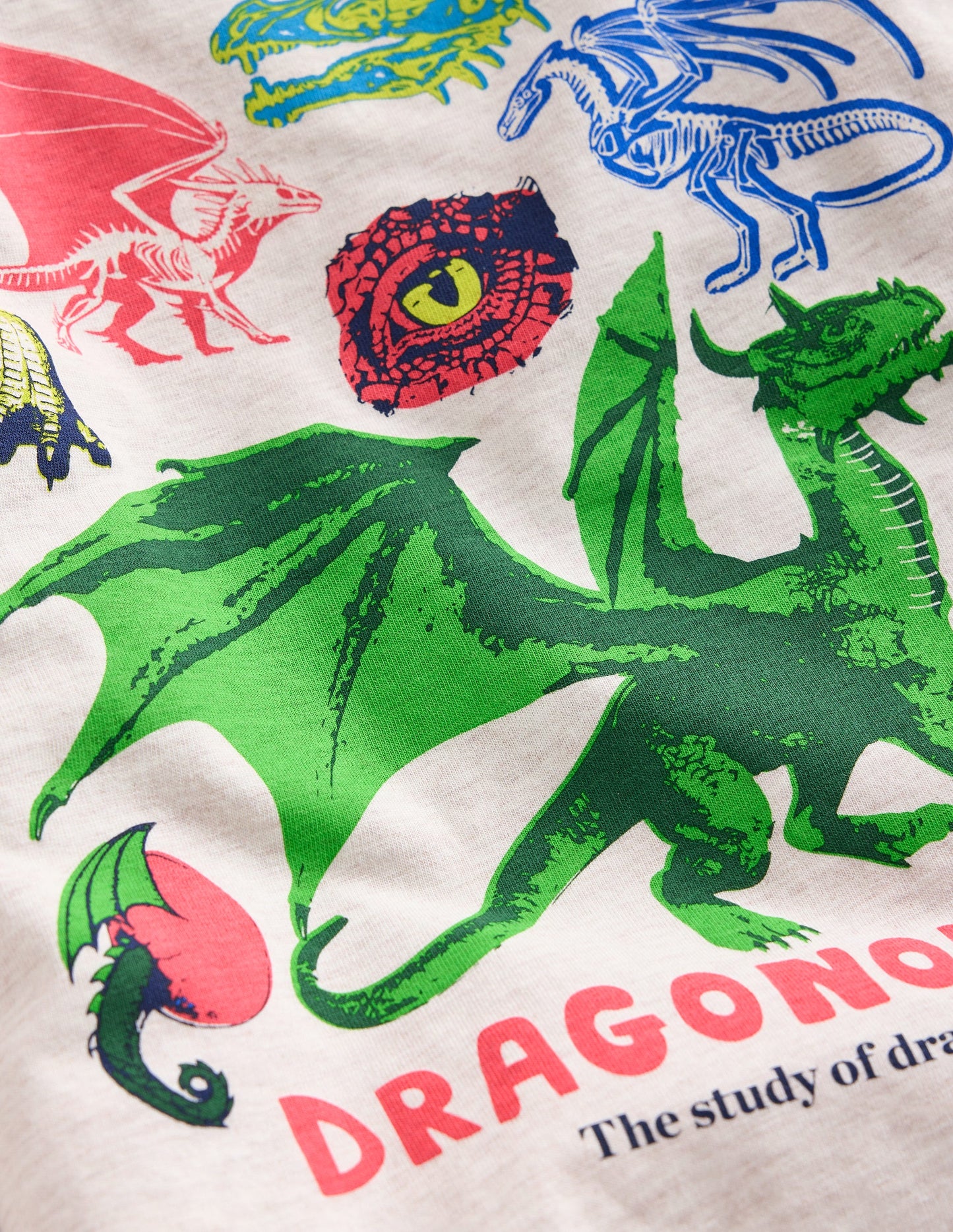 Educational T-Shirt -Oatmeal Marl Dragons