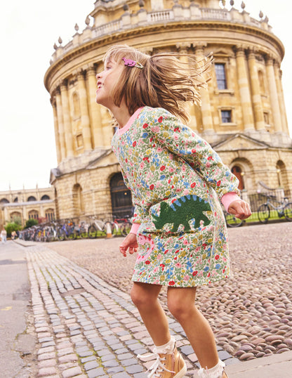 Ida Sweatshirt Appliqué Dress-Multi Meadow Floral Dinosaurs