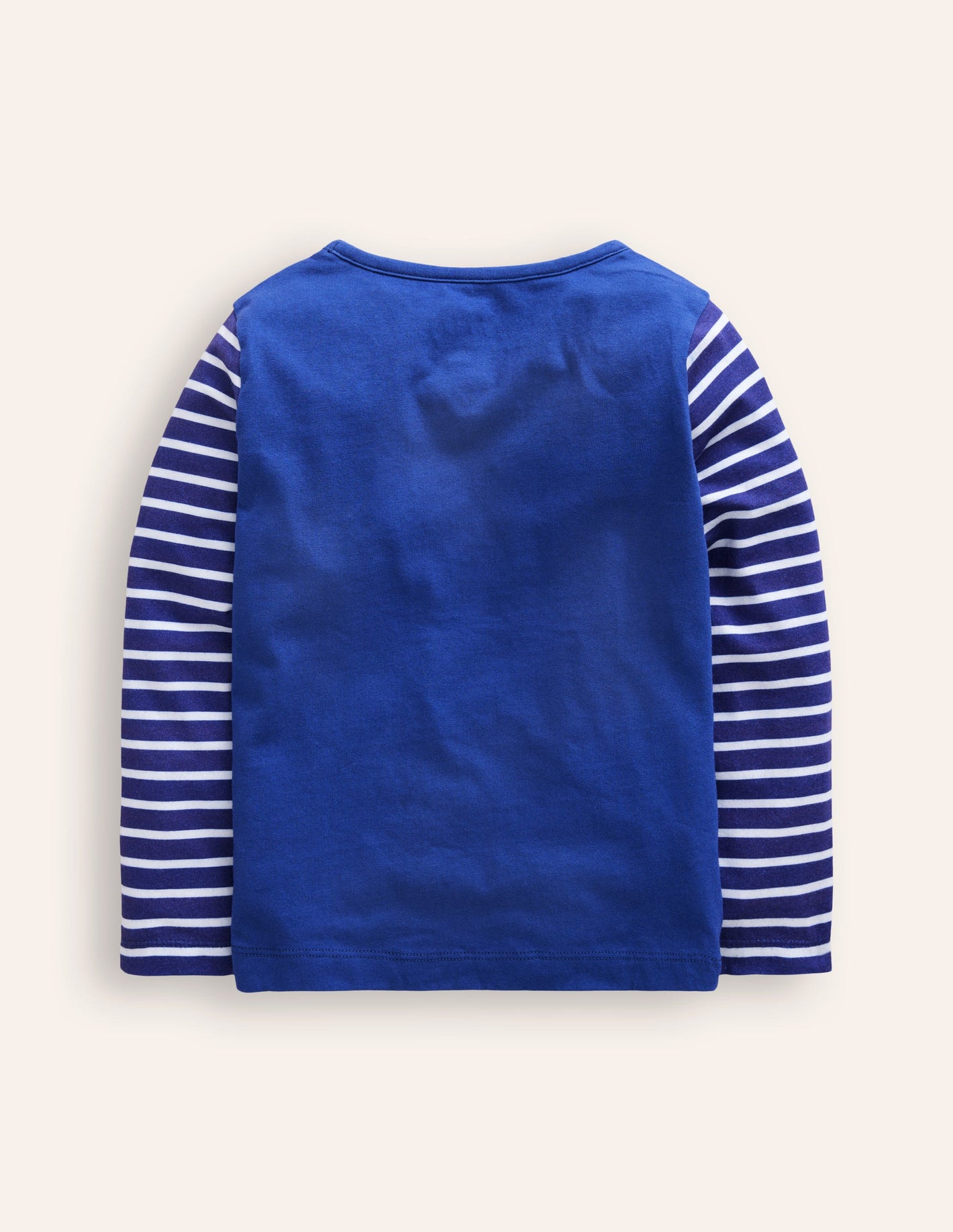 Appliqué Long Sleeve Top-Bluejay Hedgehog