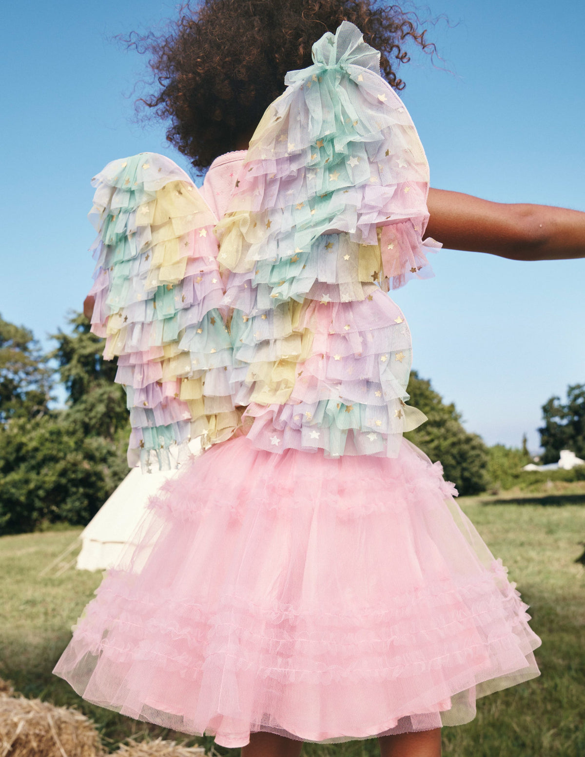 Fairy Wings-Multi Ombre-4