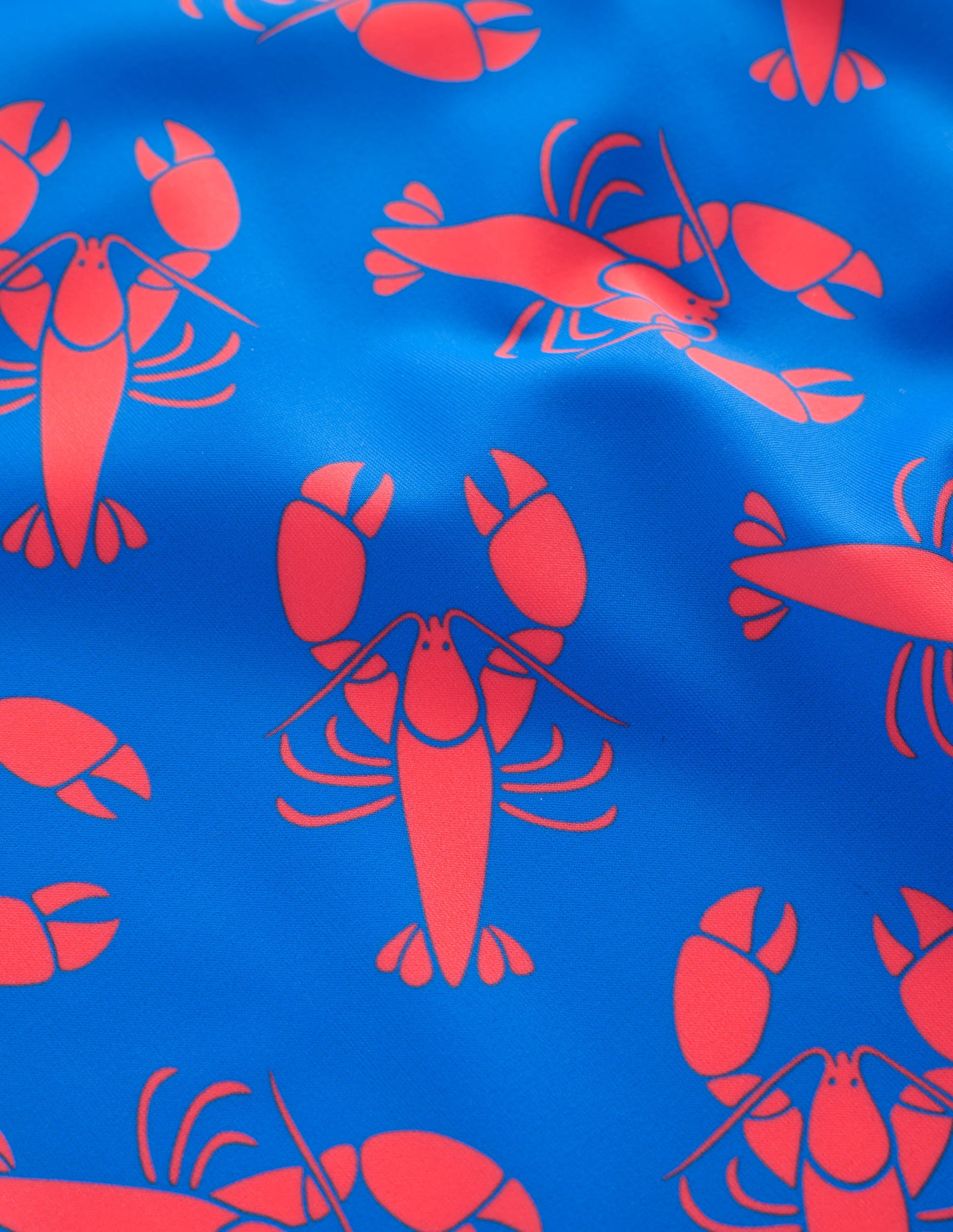 Swim Cycling Shorts-Indigo Bunting, Lobster-6