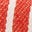 Pull-On Cotton Shorts-Red Ticking