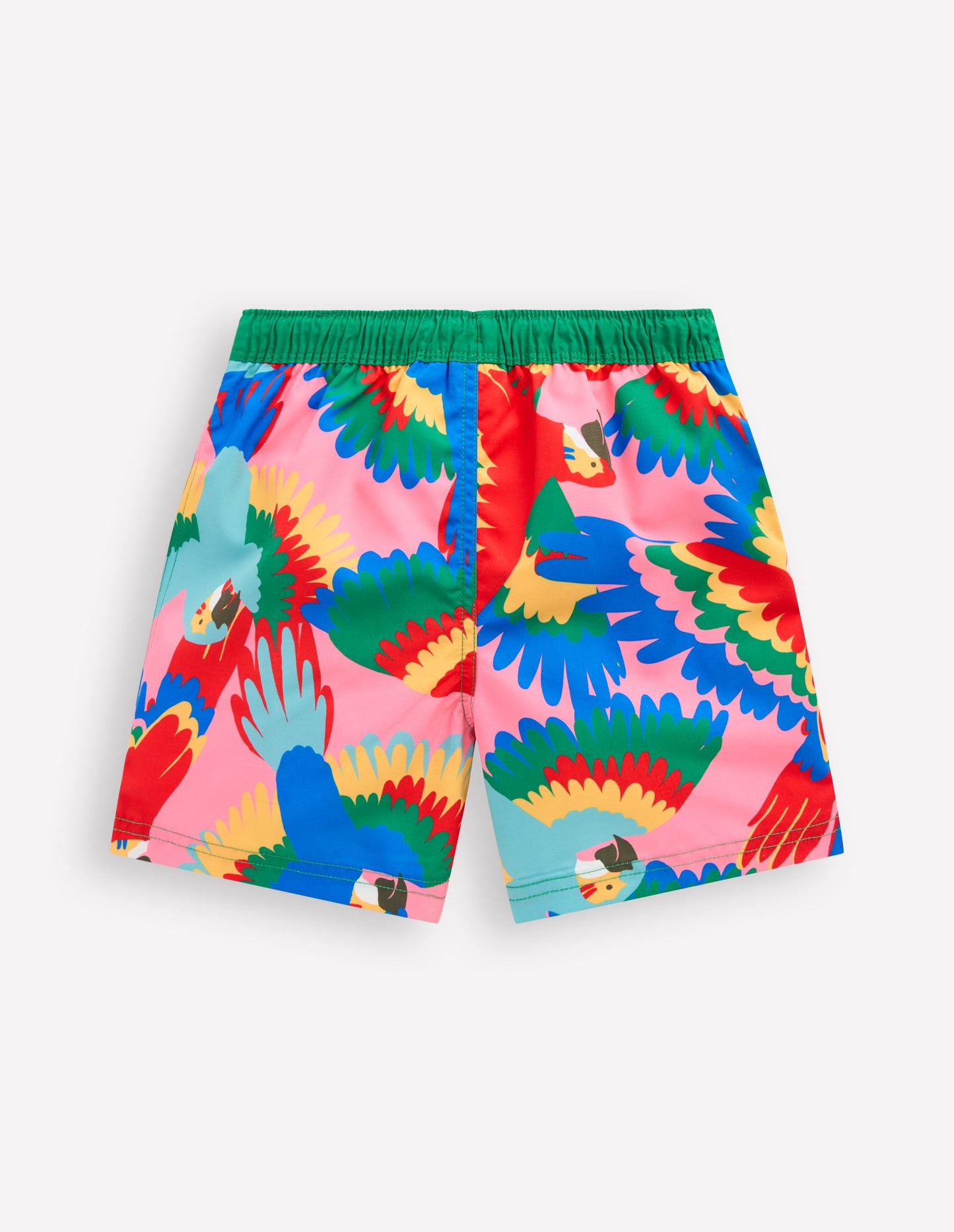 Swim Shorts-Multi Rainbow Parrot