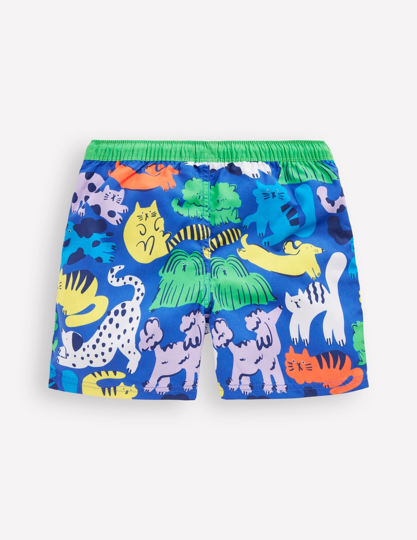 Swim Shorts-Rainbow Pets