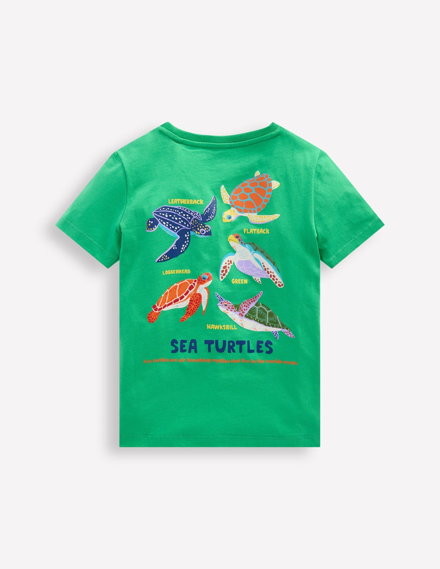 Front & Back Printed T-shirt-Aquamarine Blue Turtles