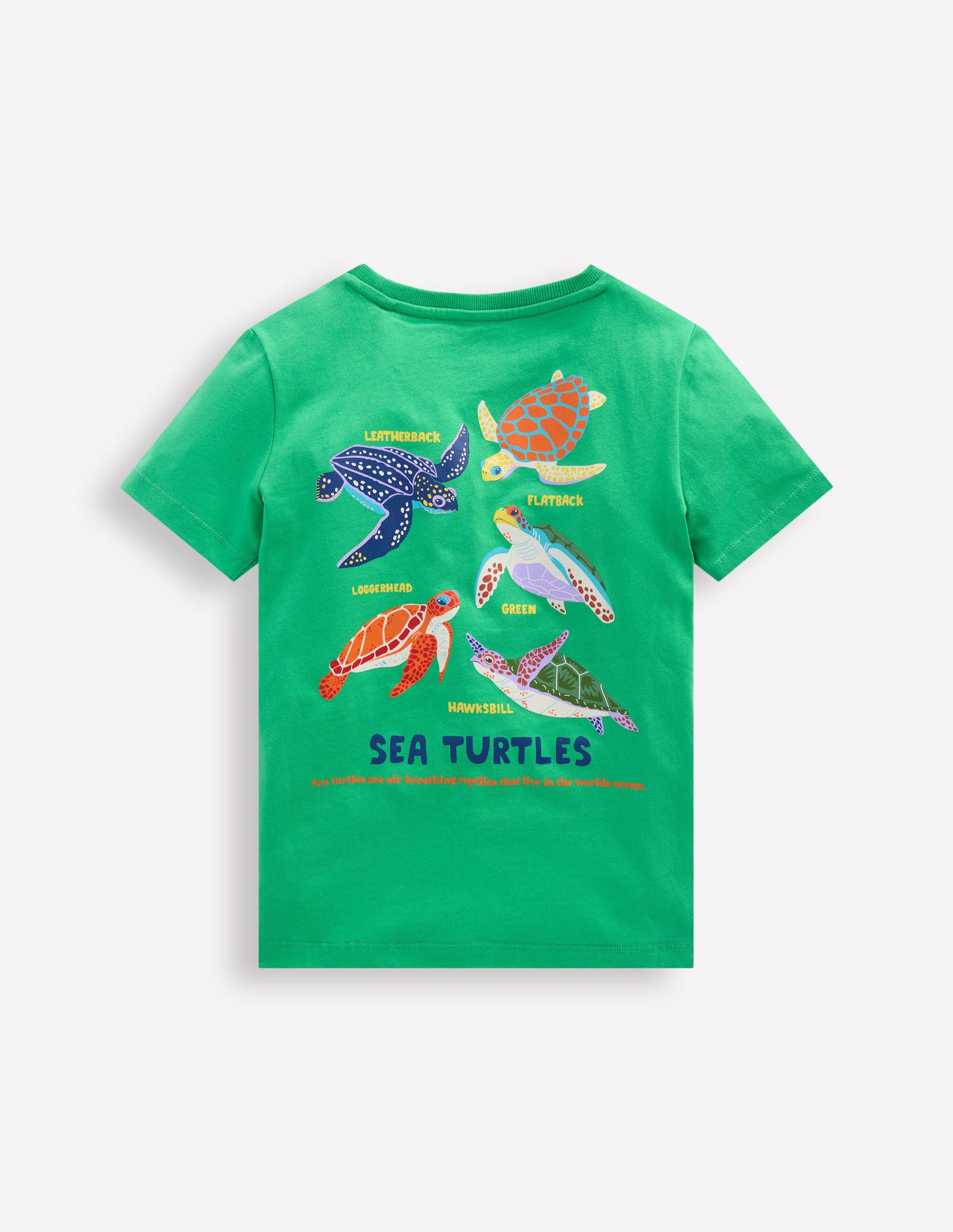 Front & Back Printed T-shirt-Aquamarine Blue Turtles-2