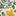 Twin Pack Snug Pyjamas-Ceylon Flowerbed Multi