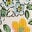 Twin Pack Snug Pyjamas-Ceylon Flowerbed Multi