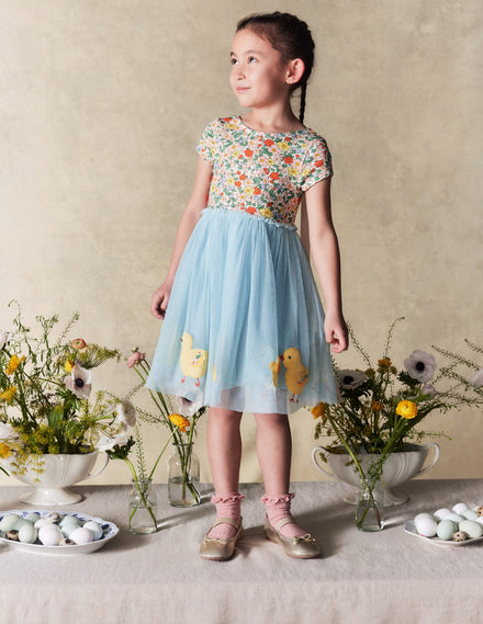 Ami Applique Tulle Dress-Pale Blue Chicks