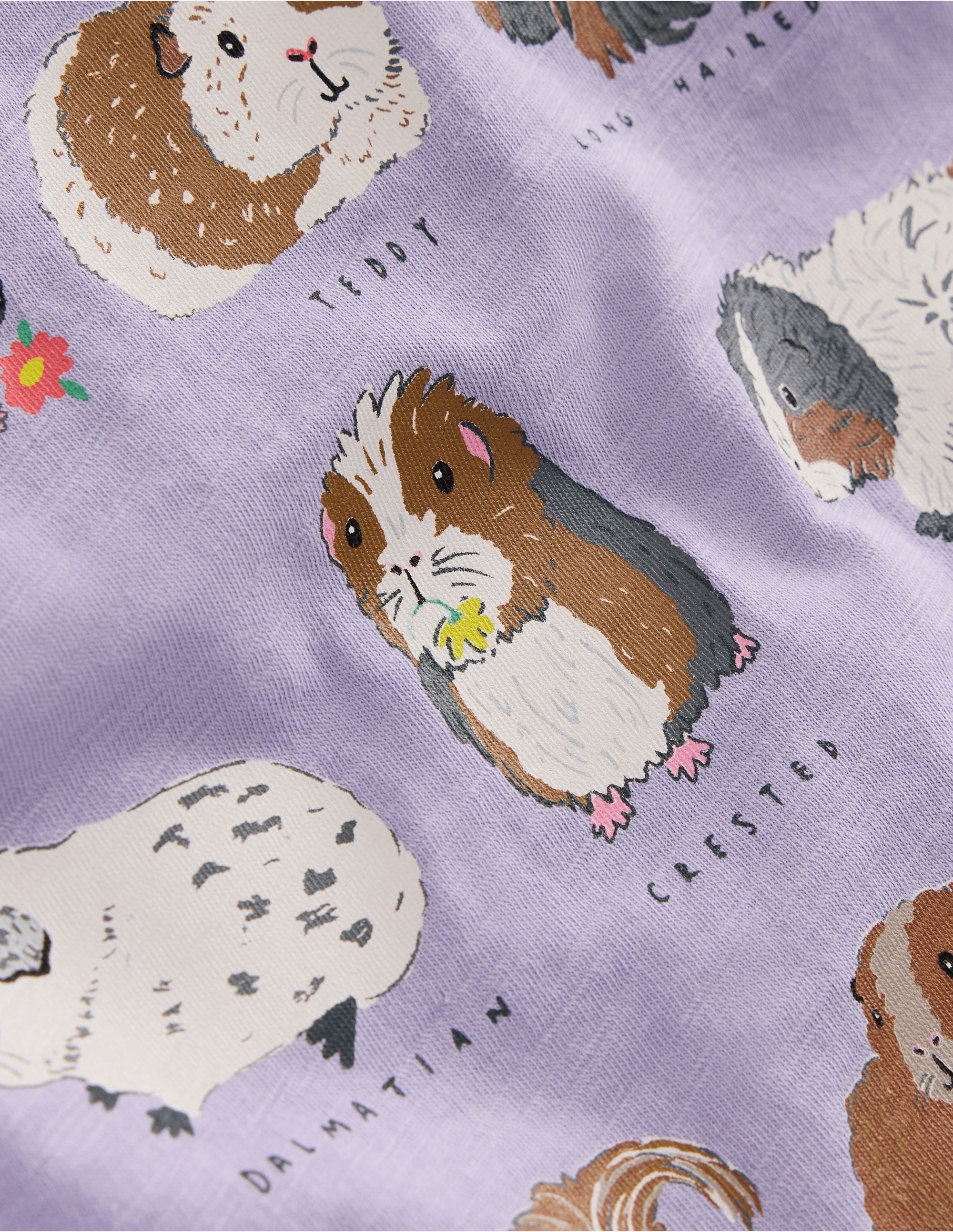 Short Sleeve Frill Logo Top-Misty Lavender Guinea Pigs - Image 3