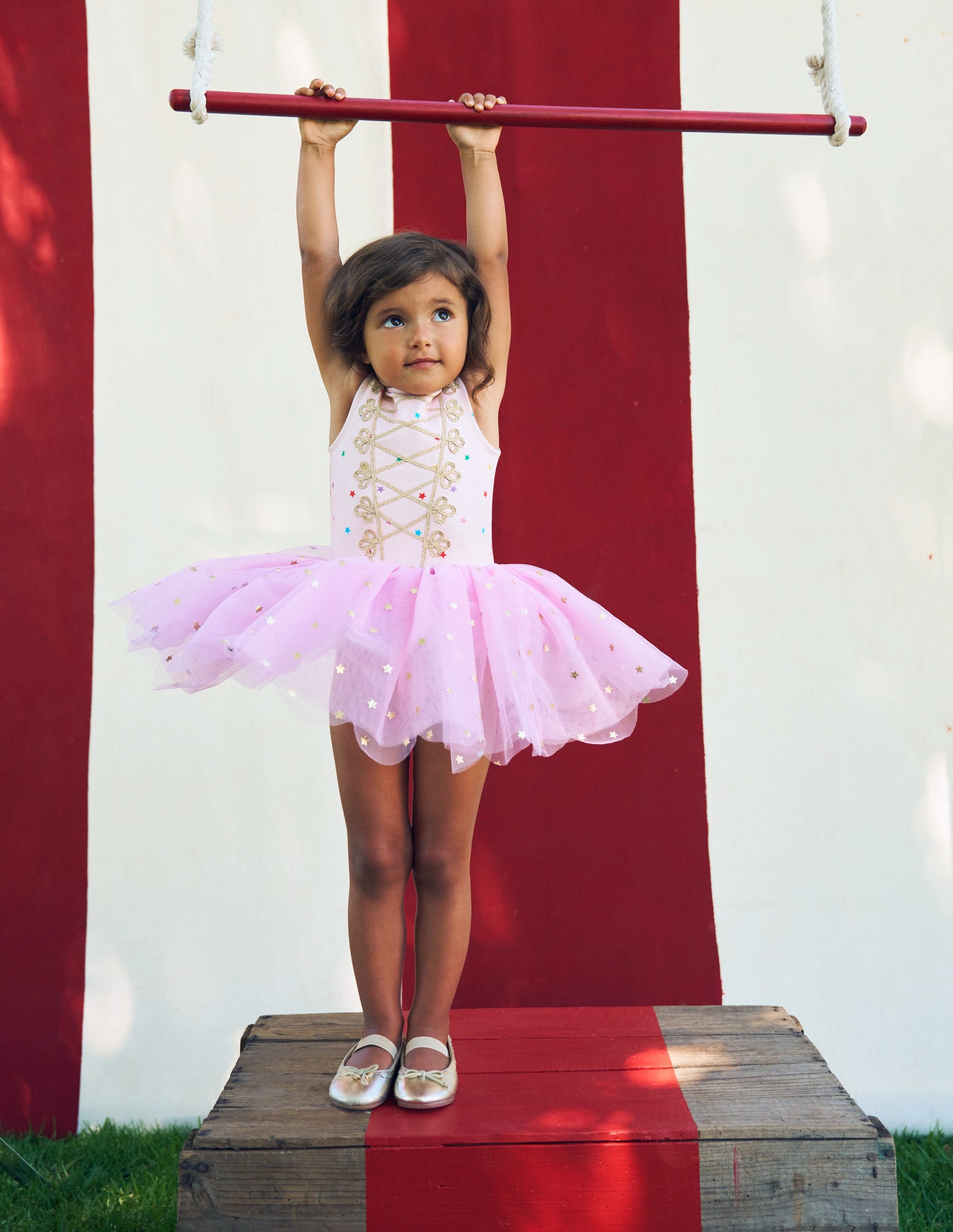 Magical Tutu-Vintage Mauve Foil Stars-5