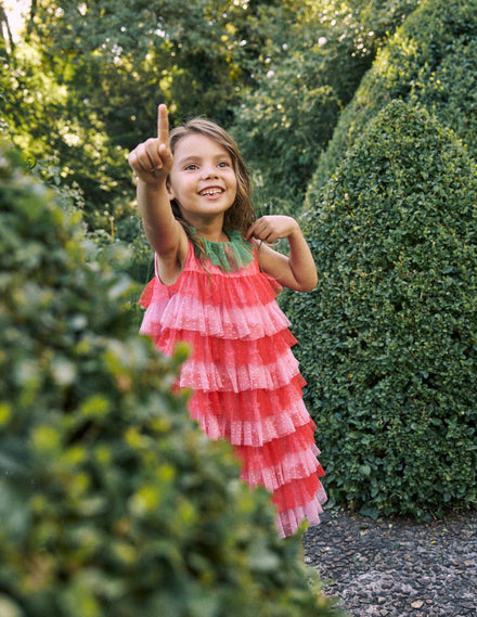 Strawberry Tulle Dress-Red/Pink