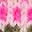 Fair Isle Snood-Heritage Fair Isle