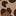 Patch Pocket Trouser-Leopard Print