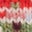 Edie Fair Isle Cardigan-Pink Marl Hearts