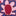2-in-1 Padded Coat-Multi Woodblock Flower