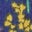 Broderie Sweatshirt Dress-College Navy Flower Meadow