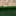 Velvet Flared Leggings-Pine Green