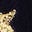 Velvet Party Dress-Navy Stars
