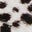 Thea Mary Jane Ballet Flats-Dalmation Pony