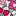 Sienna Cotton Shirt-Pop Pansy, Apple Blossom