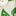 Effie Smocked Blouse-Ivory Green, Dahlia Garden