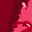 Brooke Tie Neck Tea Dress-Cranberry Red, Delicate Vine