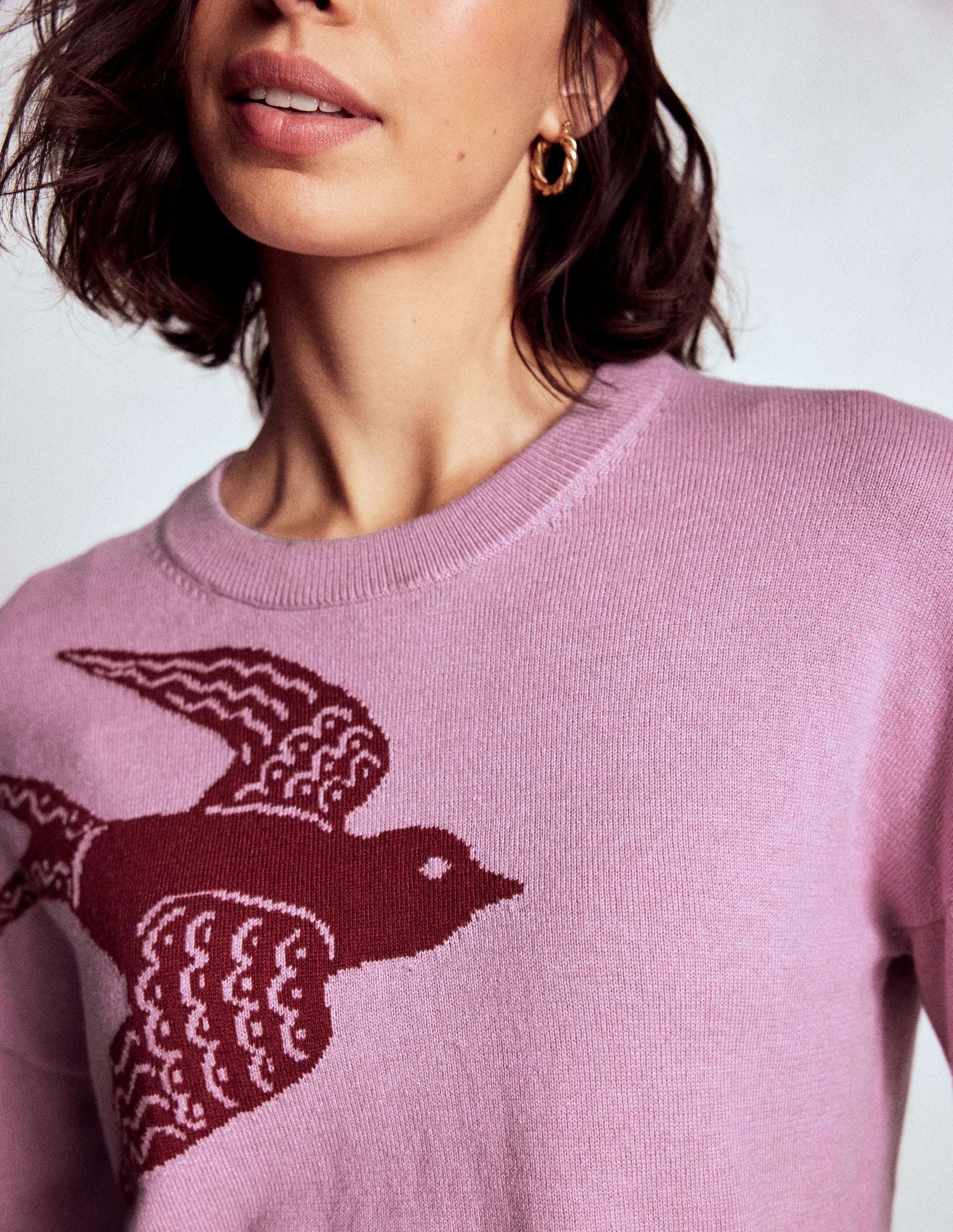 Natasha Novelty Jumper-Swooping Swallow - Image 2
