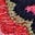 Alma Embroidered Shirt-Ash Rose