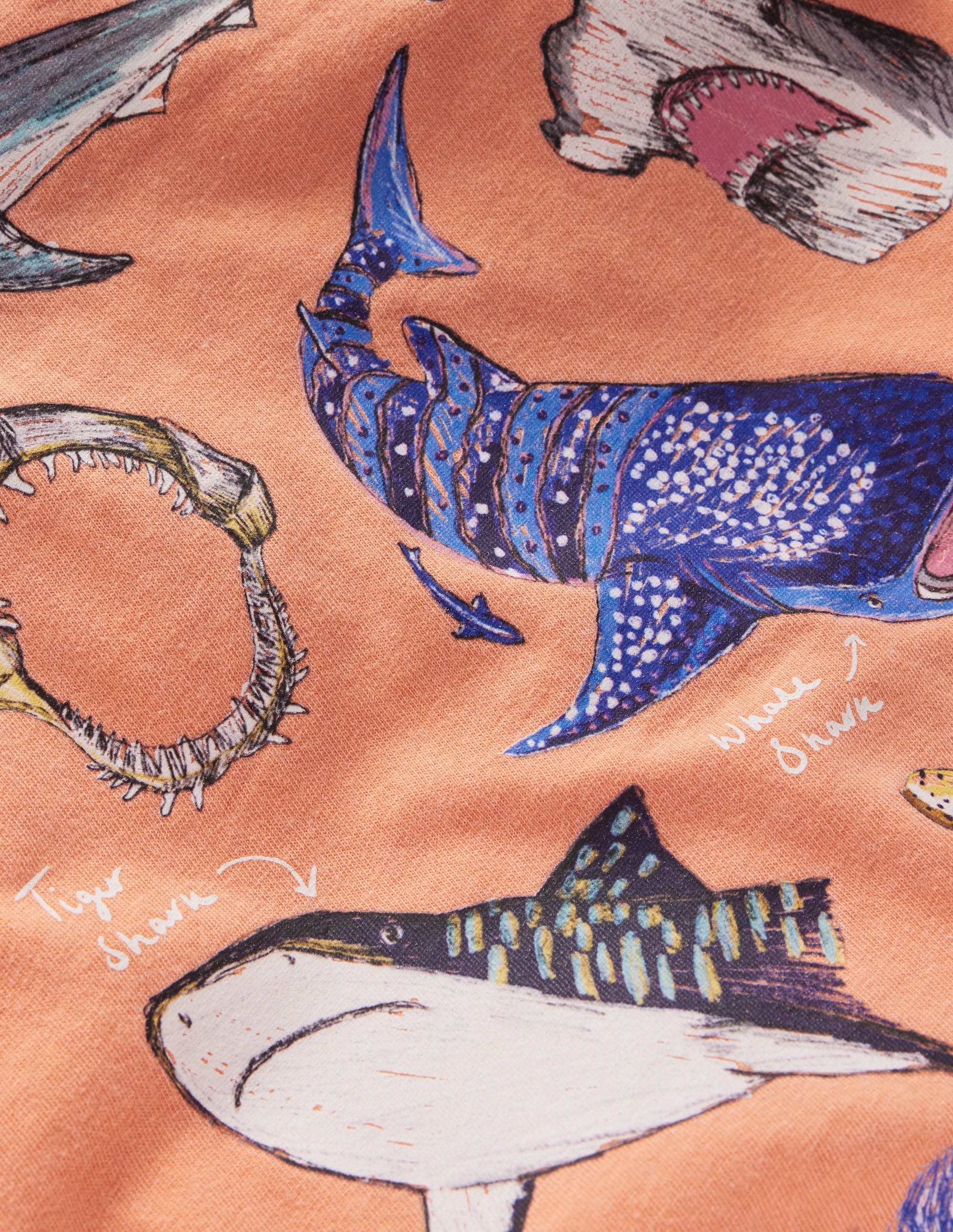 Vintage Wash Graphic T-shirt-ORANGE SHARKS - Image 3