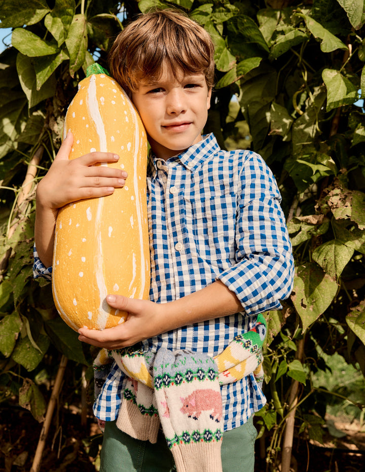 Cotton Shirt-Blue Gingham