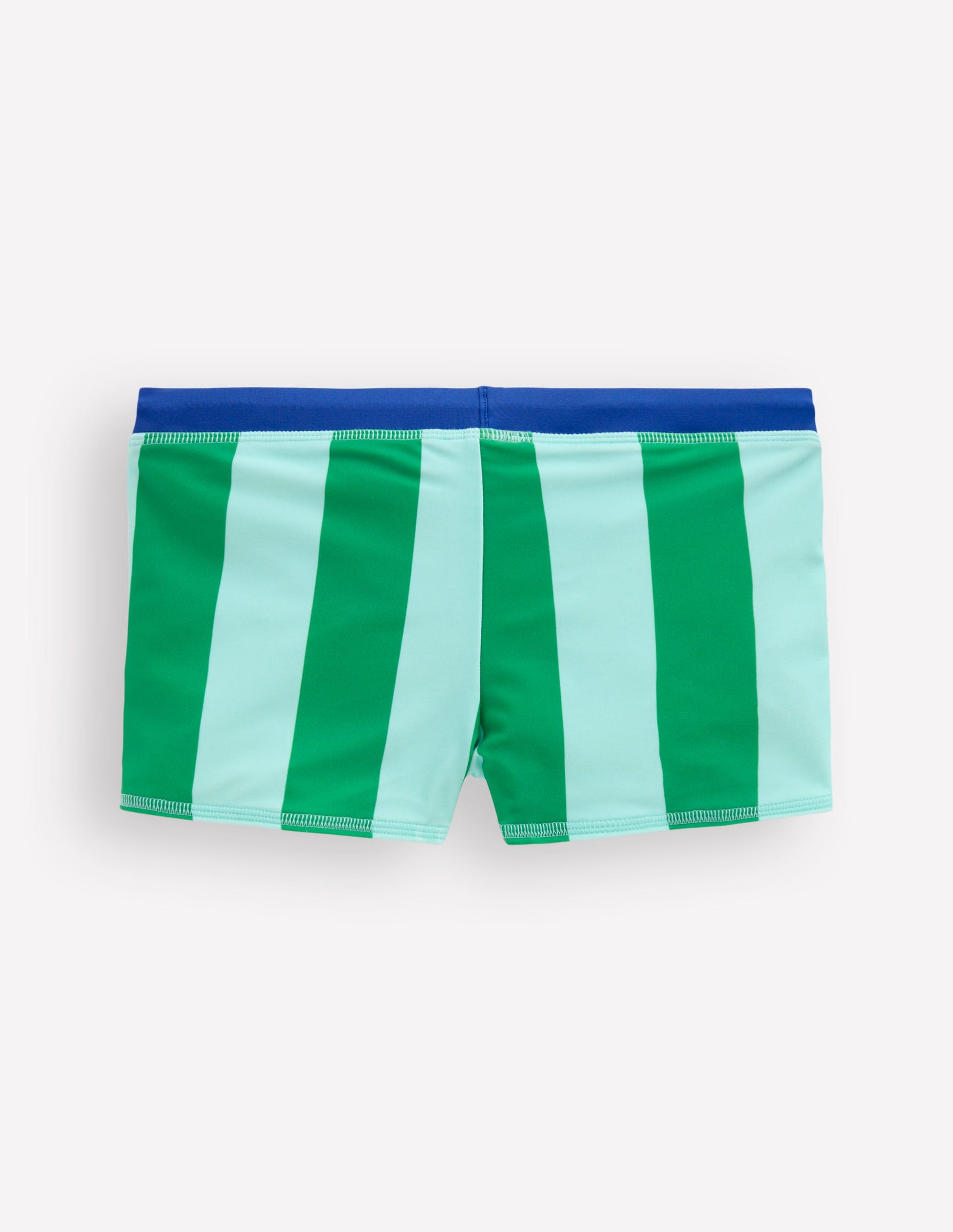 Swim Trunks-Blue/ Green Stripe-3